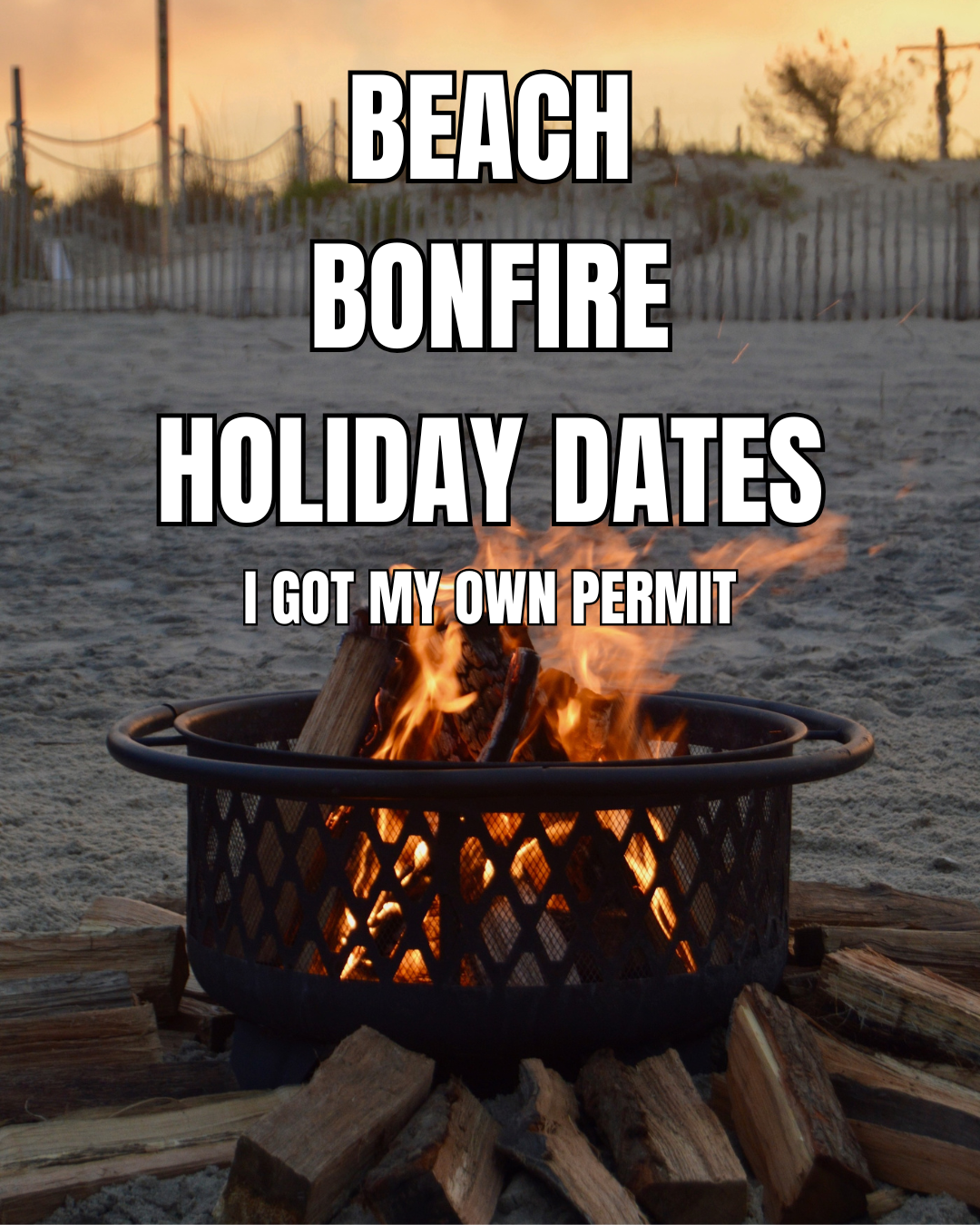 Beach Bonfire HOLIDAYS (I Got My Own Permit)